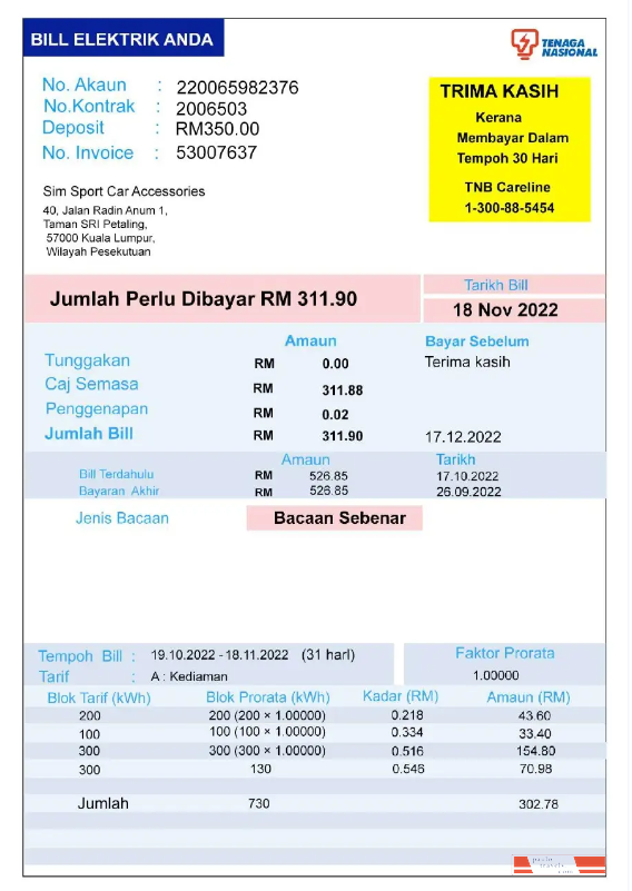 INDIA TENAGA NASIONAL utility bill Word and PDF template